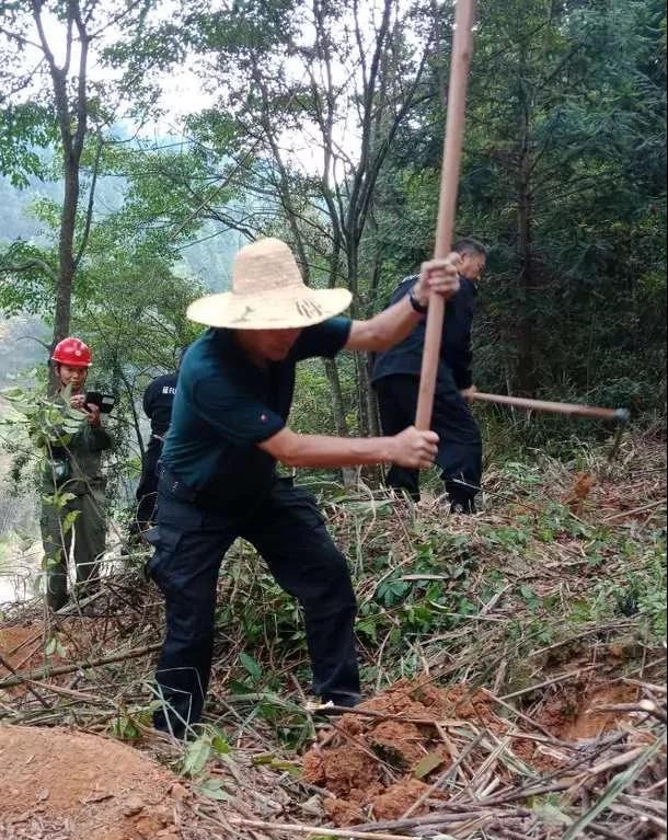 干好每一天|青山掛白我復綠，無私奉獻金森人——資源保護部義務突擊隊工作記實
