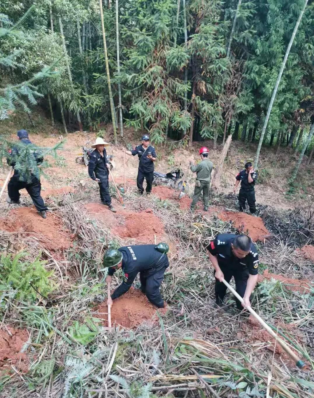 干好每一天|青山掛白我復綠，無私奉獻金森人——資源保護部義務突擊隊工作記實