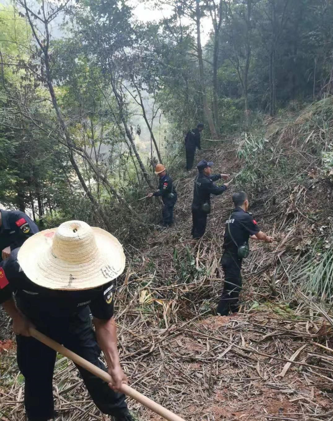 干好每一天|青山掛白我復綠，無私奉獻金森人——資源保護部義務突擊隊工作記實