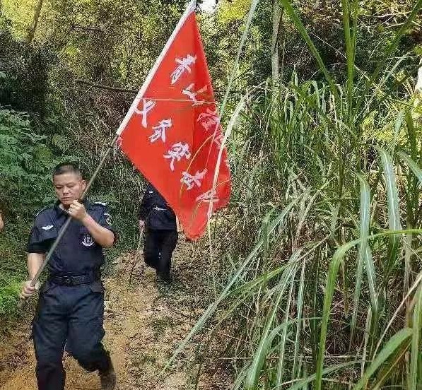干好每一天|青山掛白我復綠，無私奉獻金森人——資源保護部義務突擊隊工作記實